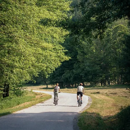 Dom wakacyjny House Bale, Bale Kostel