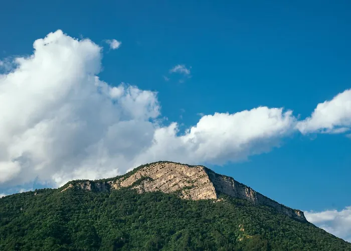 House Bale, Bale 度假居